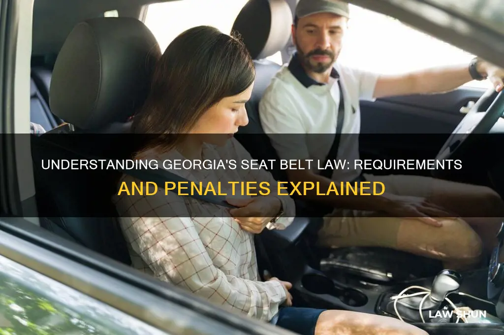 what is the seat belt law in georgia