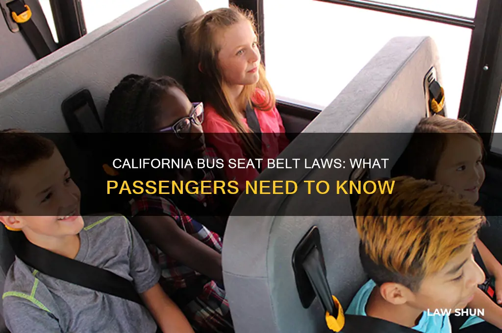 what is the seat belt law on buses in ca