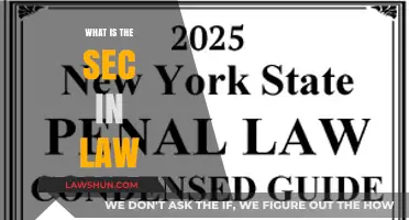 Understanding the SEC: A Comprehensive Guide to Securities Law