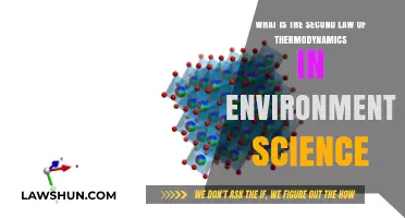 Understanding Entropy's Role in Environmental Science: The Second Law Explained