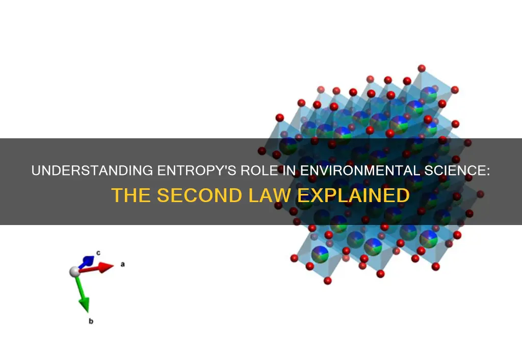 what is the second law of thermodynamics in environmental science