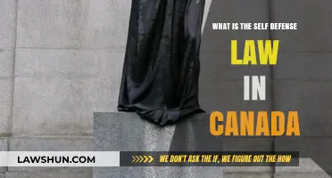 Self-Defense Laws in Canada: Understanding Your Rights