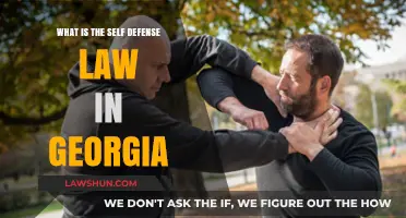 Understanding Georgia's Self-Defense Law: Your Rights and Protections Explained
