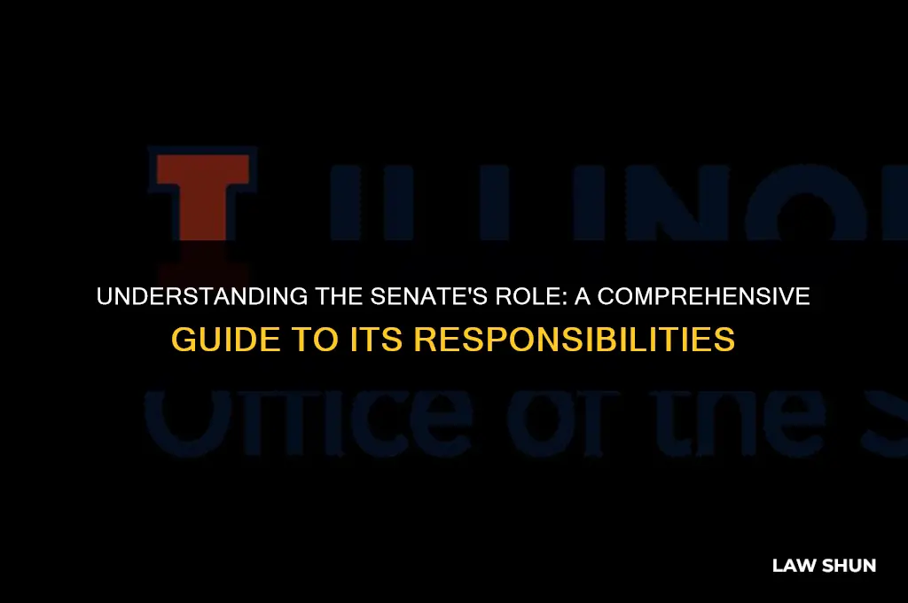 what is the senate responsible for