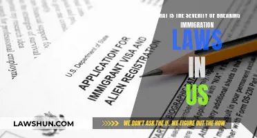 Immigration Lawbreaking: Understanding the Severity of US Consequences