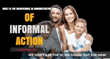 Informal Action's Role in Shaping Administrative Law and Governance