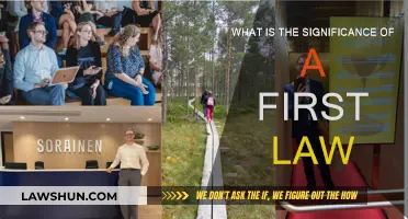 Understanding the First Law: Its Significance and Applications