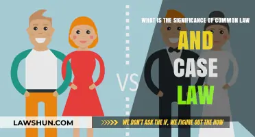 Understanding Common Law and Case Law Significance