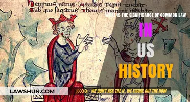 Common Law: A Foundation of US History