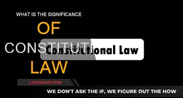 Constitutional Law: Foundation of Our Rights and Freedoms