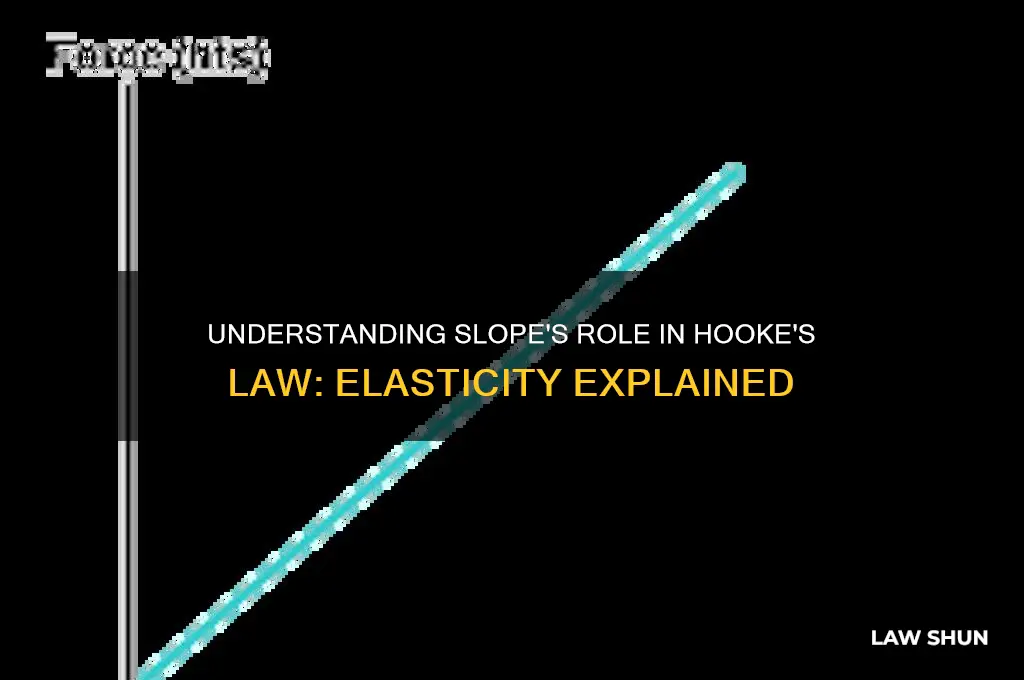 what is the significance of the slope in hooke