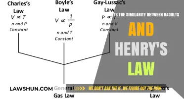 Raoult's Law vs. Henry's Law: Key Similarities in Gas-Liquid Equilibria