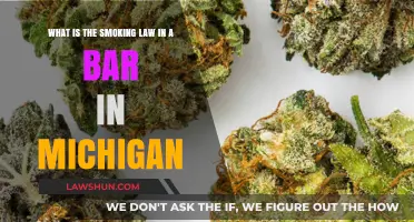 Michigan's Bar Smoking Laws: What You Need to Know