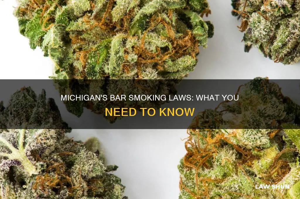 what is the smoking law in a bar in michigan