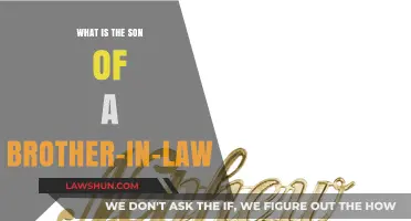 The Son of a Brother-in-Law: A Nephew by Marriage