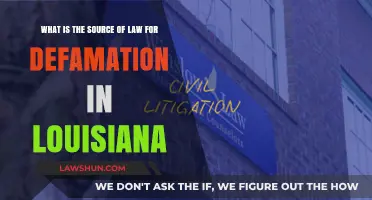 Understanding Louisiana's Defamation Laws: Sources and Legal Framework Explained