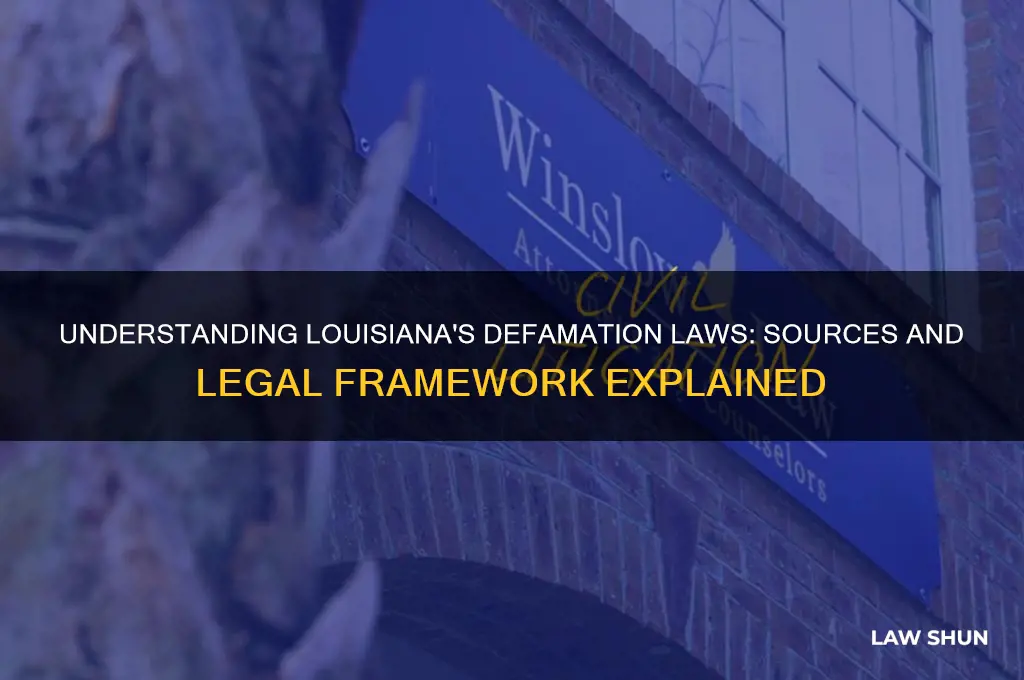 what is the source of law for defamation in louisiana