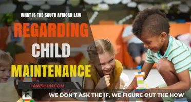 Understanding South African Child Maintenance Law: Rights, Responsibilities, and Enforcement