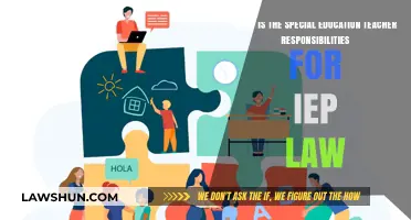 Special Education Teacher Responsibilities Under IEP Law Explained
