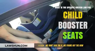 Oregon's Child Booster Seat Law: Requirements and Safety Guidelines