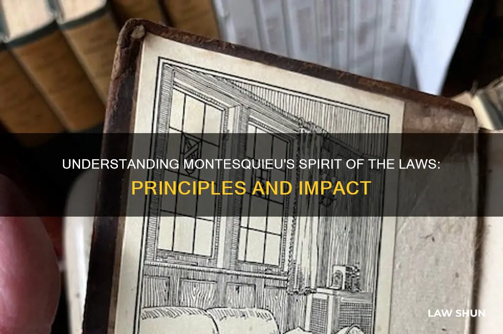 what is the spirit of the laws by baron montesquieu