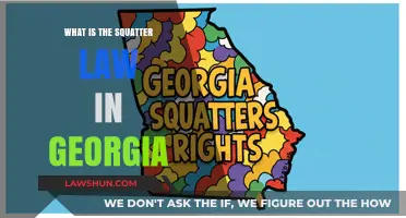 Understanding Georgia's Squatter Law: Rights, Risks, and Real Estate Insights