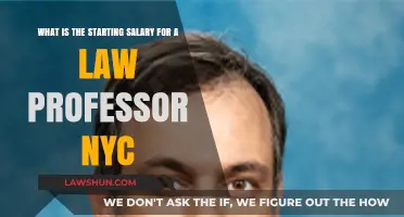 Law Professor Salaries in NYC: Entry-Level Earnings Explained
