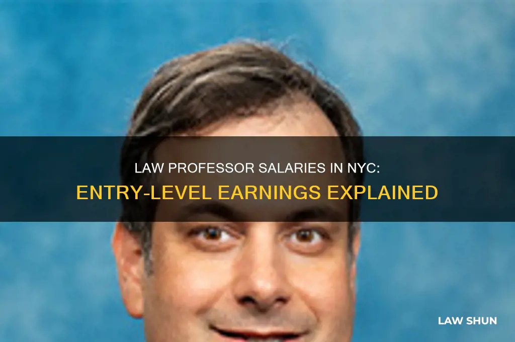 what is the starting salary for a law professor nyc