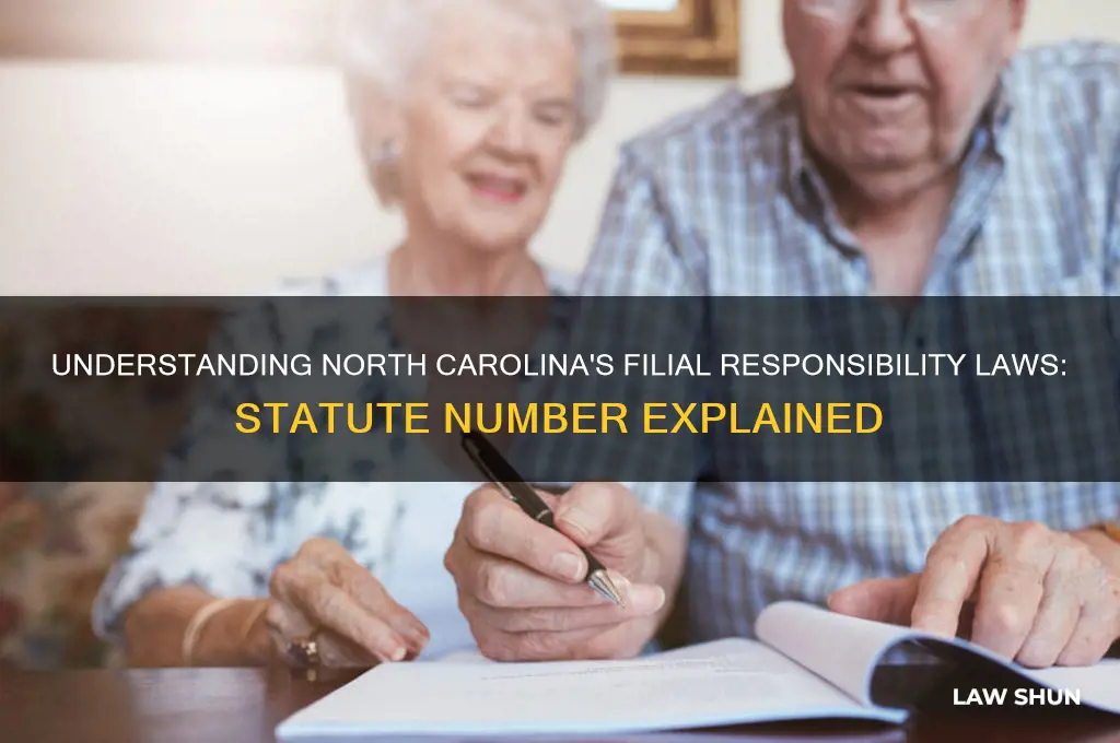 what is the statue number for nc filial responsibility laws