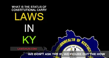 Constitutional Carry Laws: Kentucky's Current Status