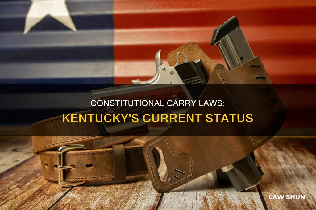 what is the status of constitutional carry laws in ky