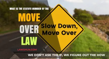 Understanding the Move Over Law: Statute Number Explained