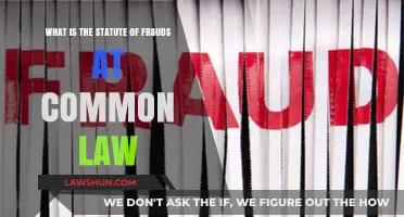 Understanding the Statute of Frauds in Common Law