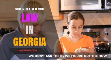 Understanding Georgia's Stay-at-Home Law: What Residents Need to Know