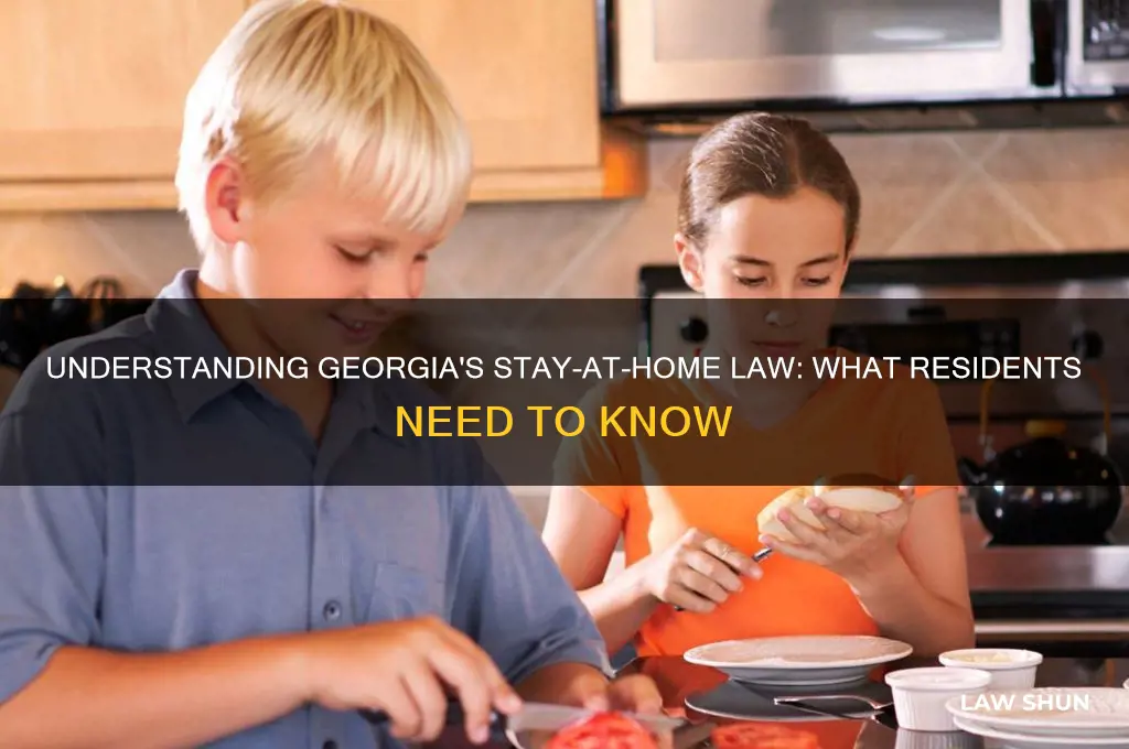 what is the stay at home law in georgia