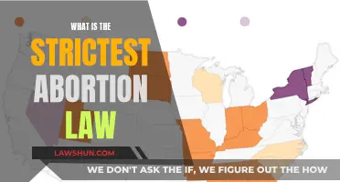 Strict Abortion Laws: Where Are They and What Do They Entail?