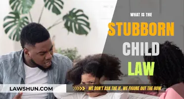 Understanding the Stubborn Child Law: Origins, Impact, and Modern Relevance
