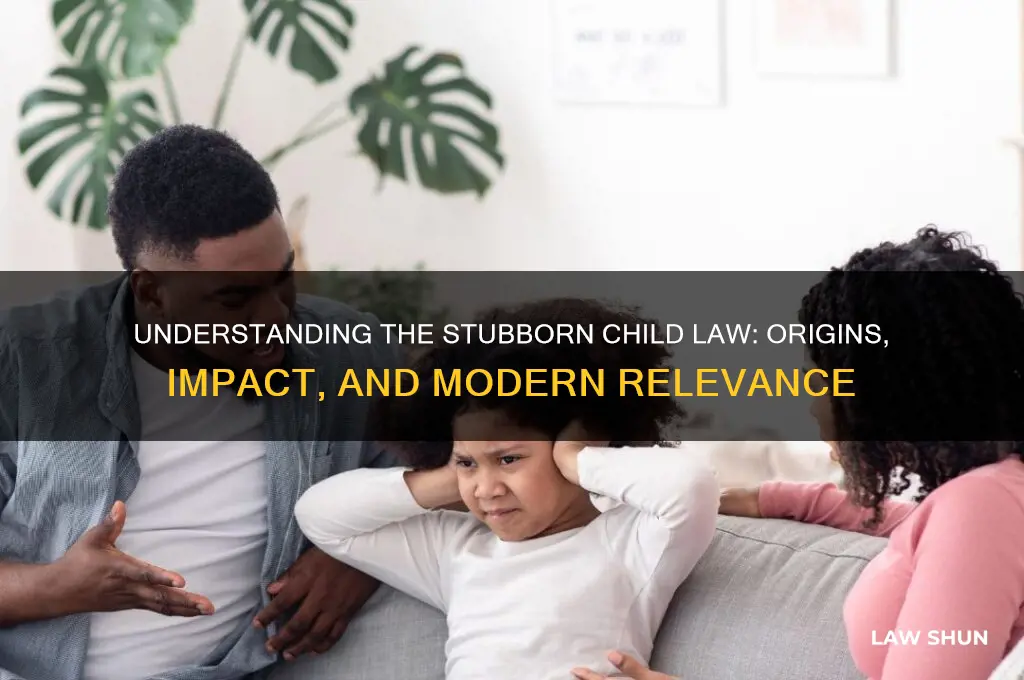 what is the stubborn child law