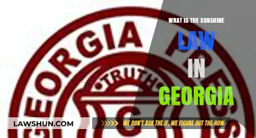 Understanding Georgia's Sunshine Law: Transparency in Government Explained