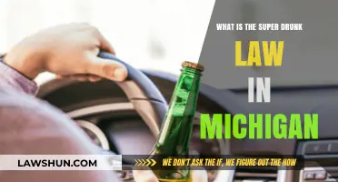 Understanding Michigan's Super Drunk Law: Penalties and Consequences Explained