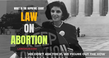 The Supreme Court's Abortion Ruling: What's the Law Now?