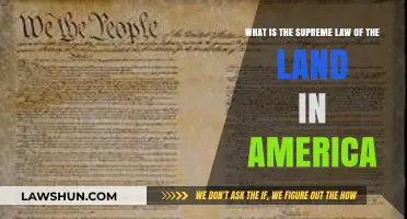 Understanding the US Constitution: America's Supreme Law of the Land