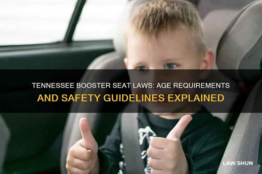 what is the tennessee law on ages for boister seats