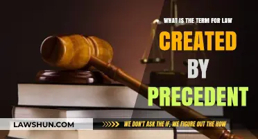 Common Law: Understanding the Legal System's Evolution