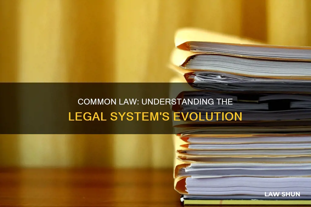 what is the term for law created by precedent