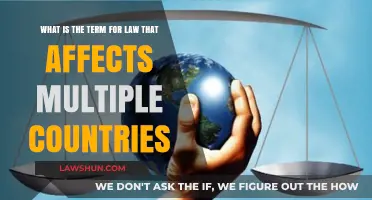 Global Legal Frameworks: Understanding International Law's Multinational Impact