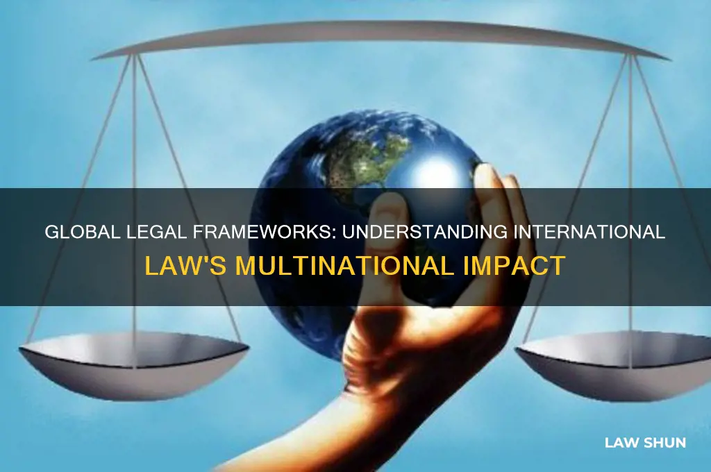 what is the term for law that affects multiple countries