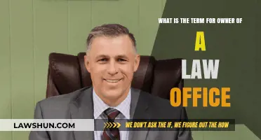 Understanding the Title: What Do You Call a Law Office Owner?