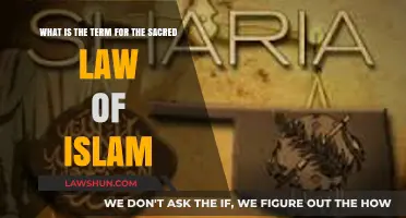 Understanding Sharia: The Sacred Law of Islam Explained