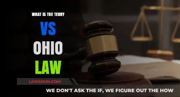 Terry vs. Ohio Law: Understanding Stop-and-Frisk Legal Precedent